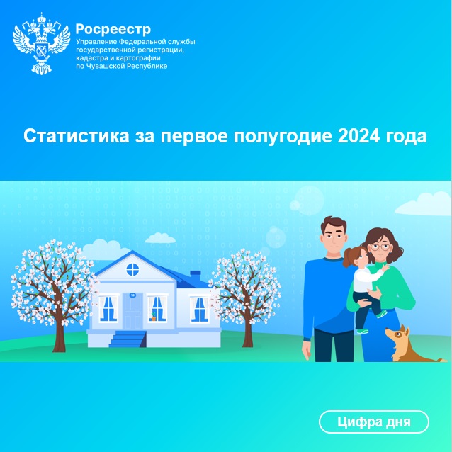 Статистика 2 кв.2024