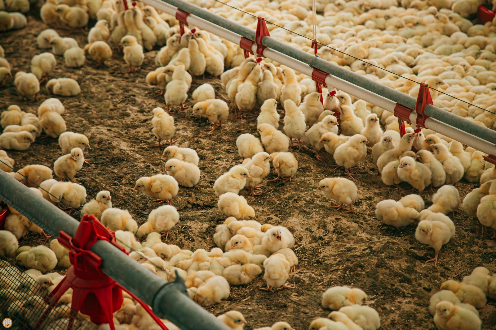 bd84d7ad6d5645b48f3f31987c0fb21d